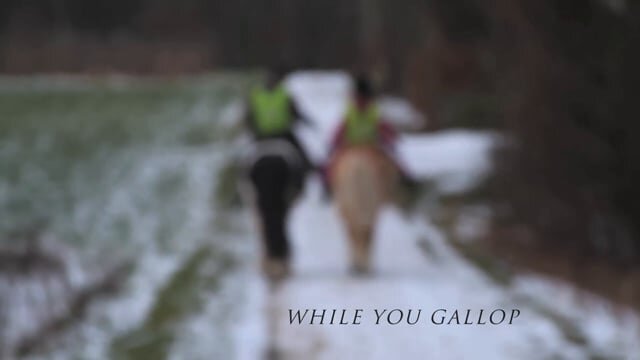 While You Gallop trailer