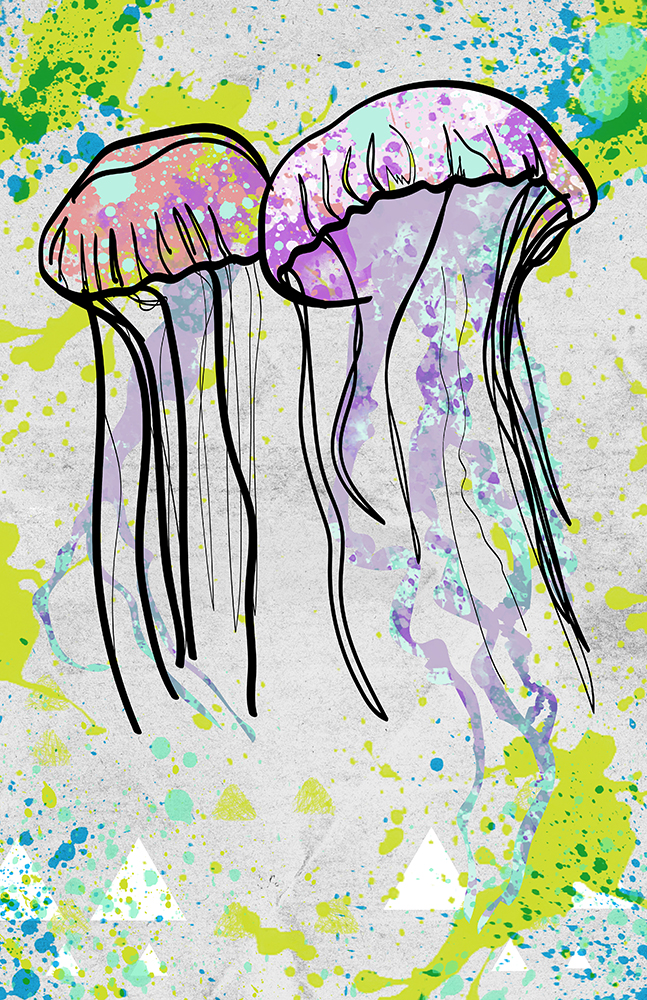 Jellyfish.jpg