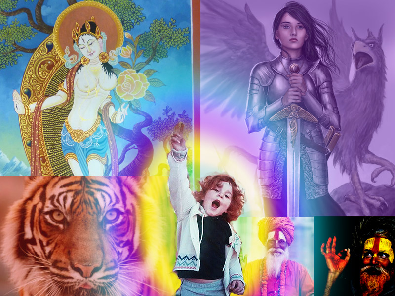 Montage created by a client to celebrate and honor the essences (soul parts) returned to her during a soul retrieval session in April 2016. (used with permission)