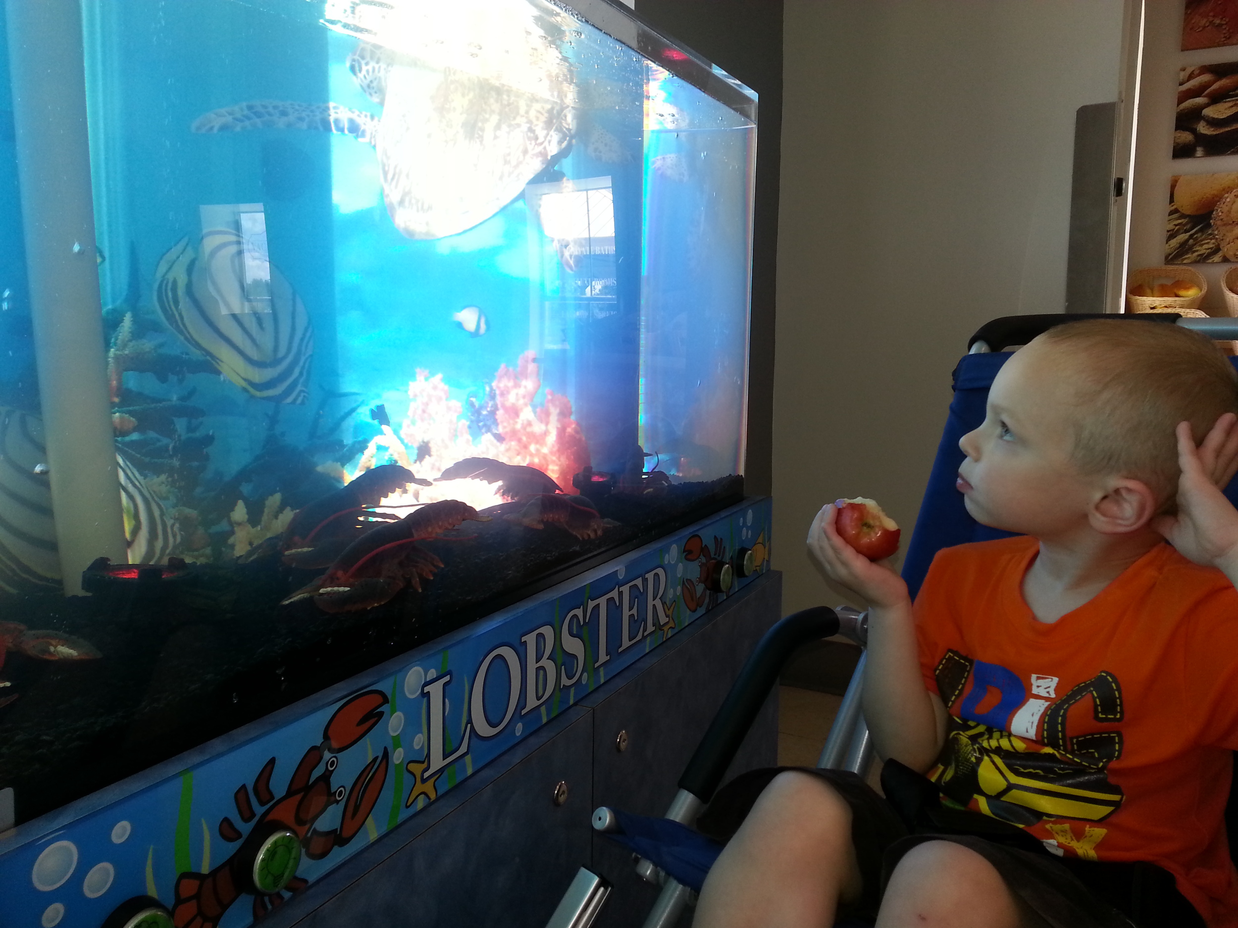  At the "Sensory Village". Ezra enjoyed watching the bubbles inside the tank. 