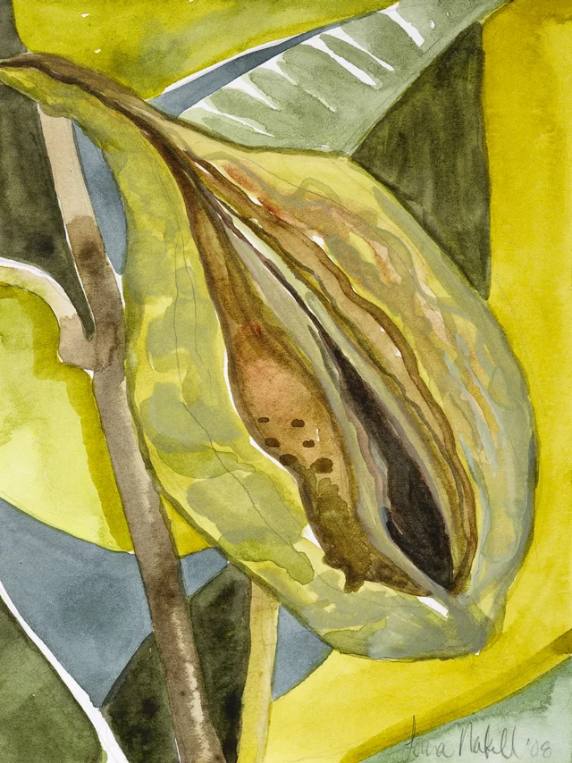 milkweed_weir_farm_web.jpg