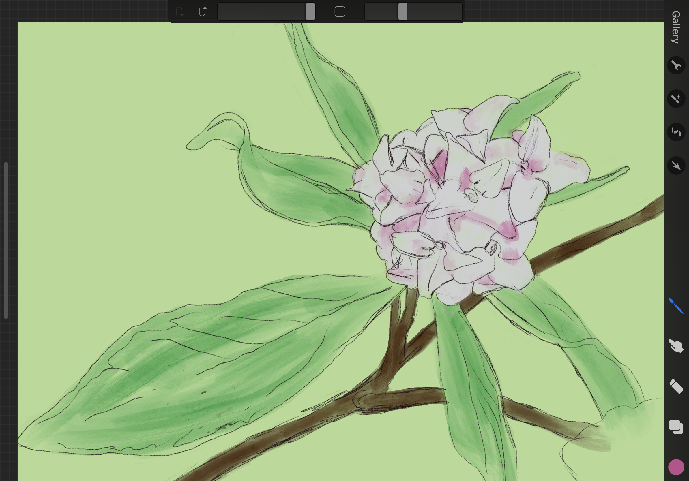 daphne in progress1.PNG