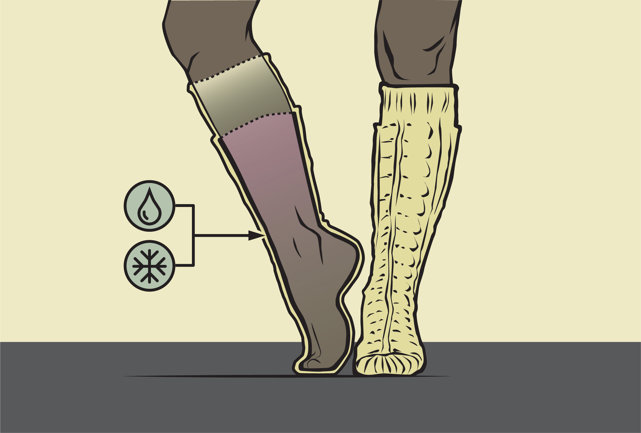 BenReebs illustrations-02.png