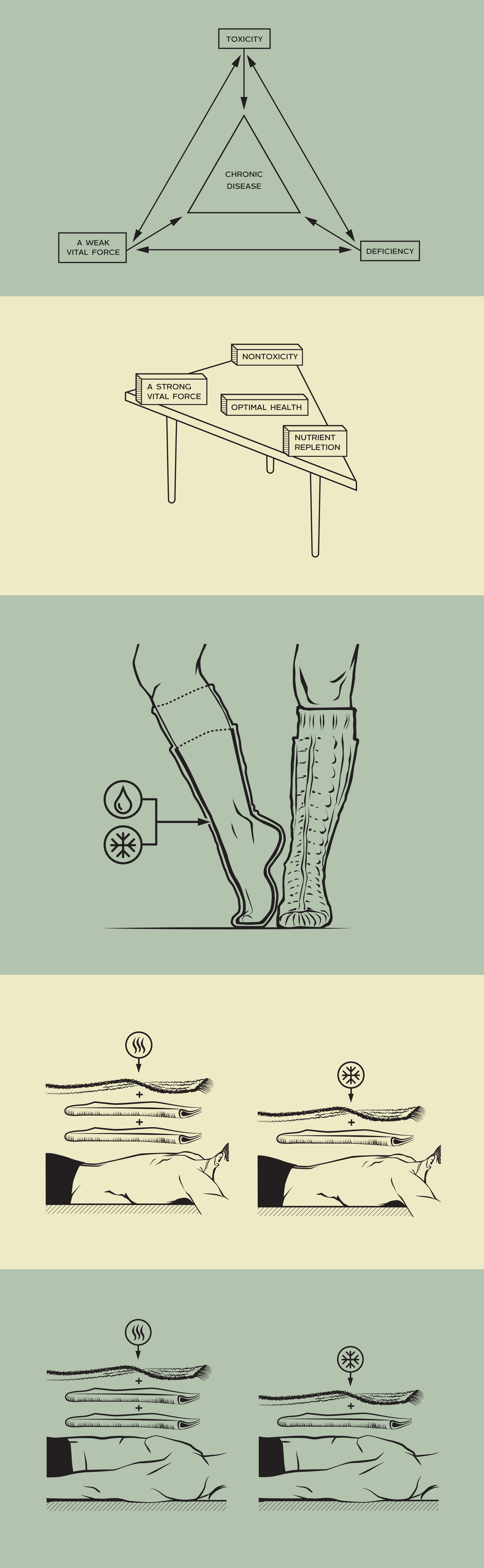 BenReebs illustrations-01.png