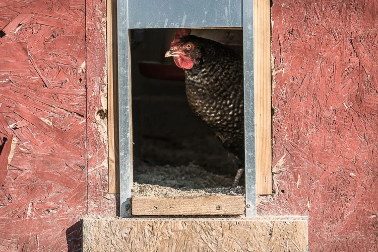 Barn-ASU-SD-Farm-04-14-16-1.jpg
