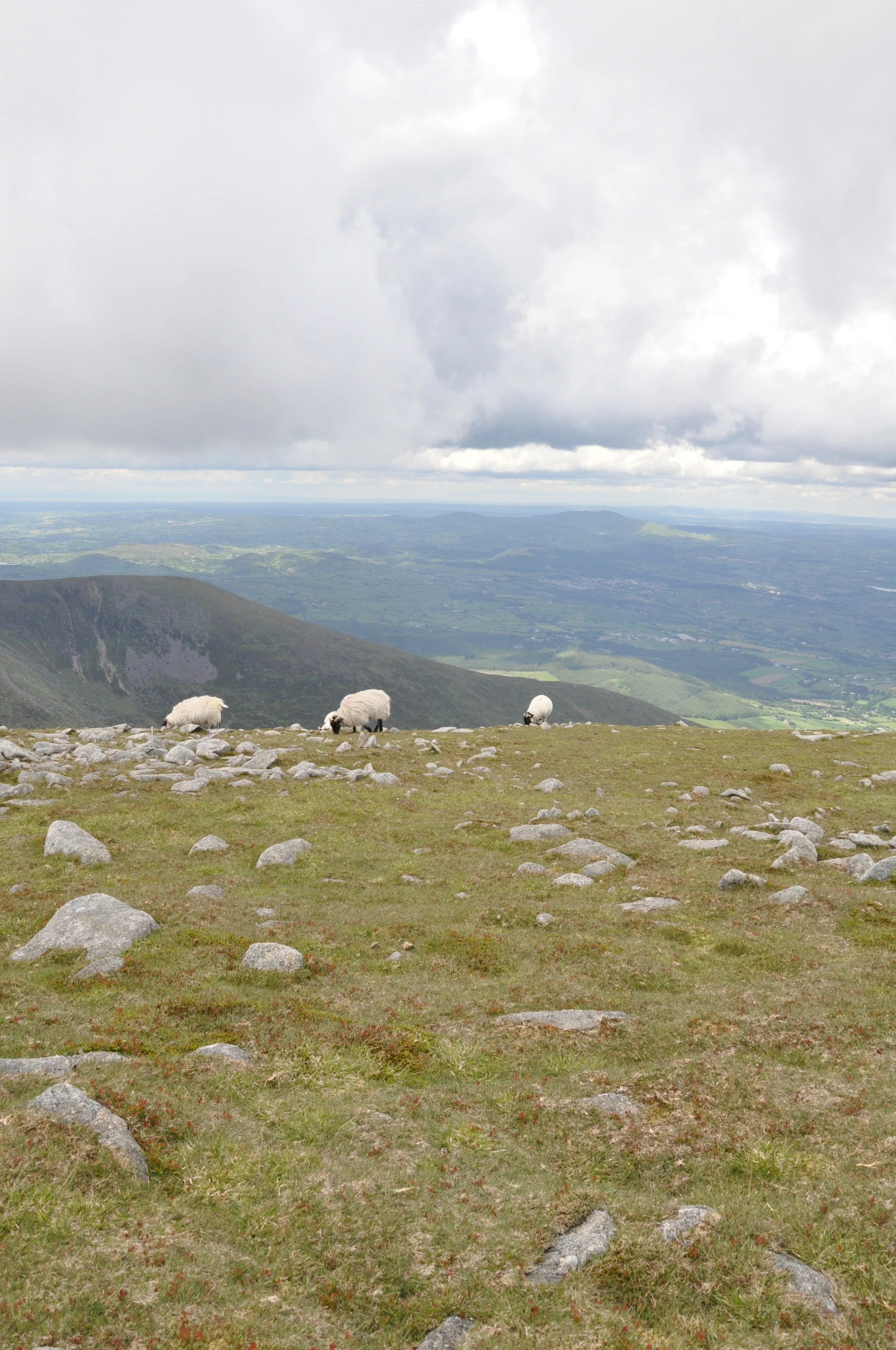 All About the Teacher: Jennifer Martinez | everythingjustso.org