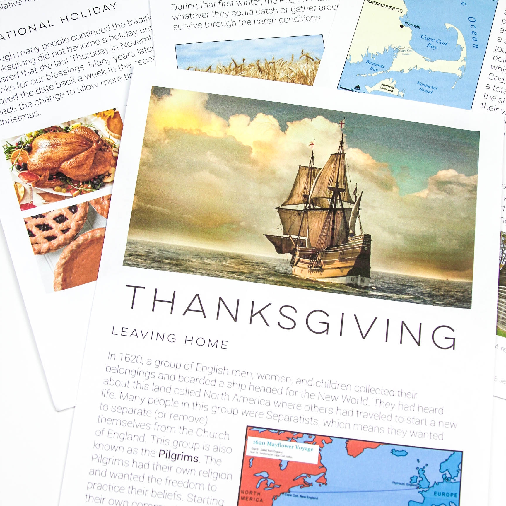 Thanksgiving Mini Unit | everythingjustso.org