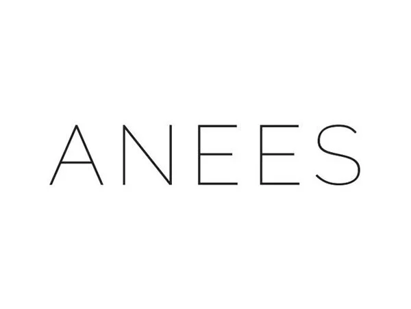 ANEES.jpg