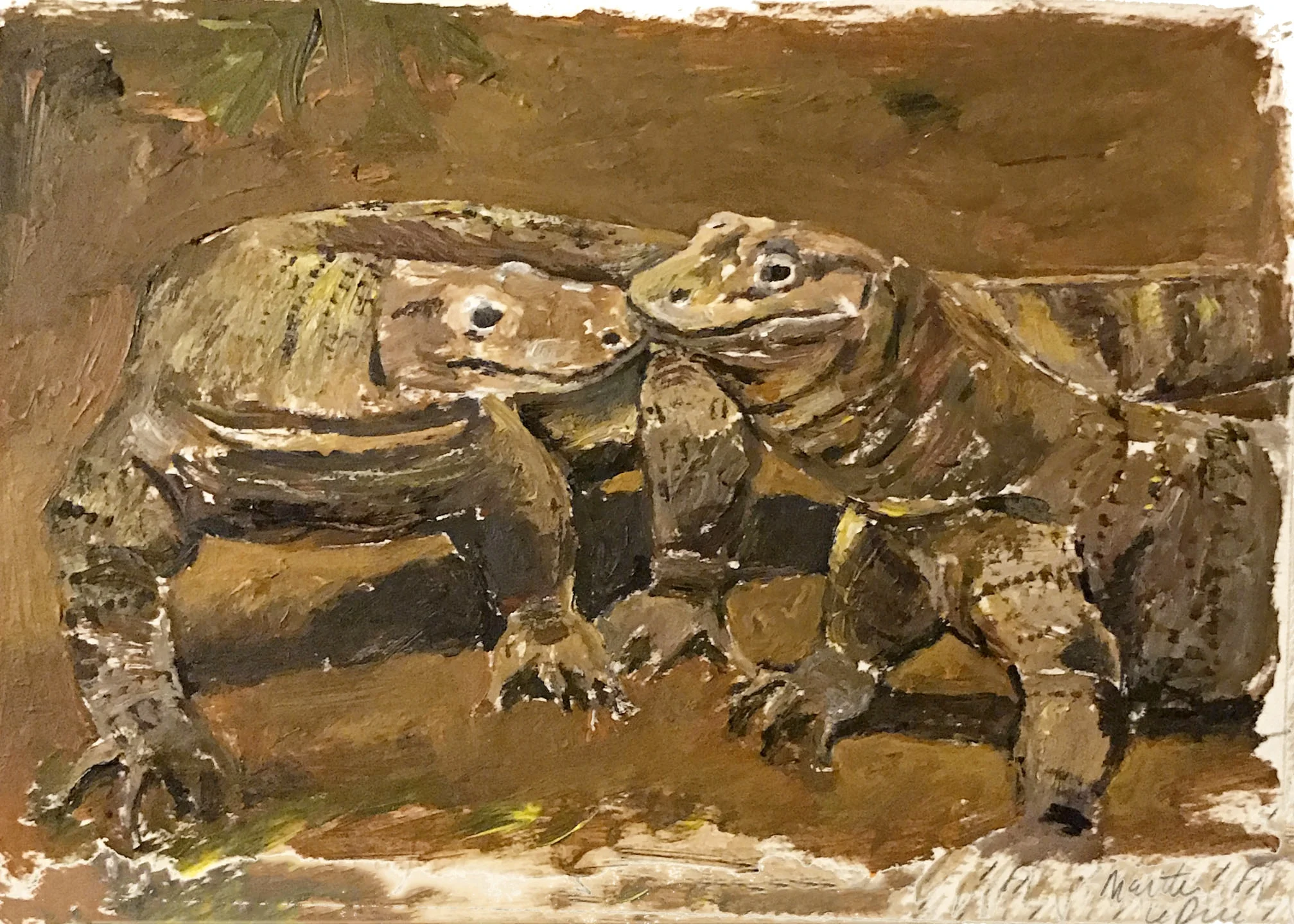 Komodos in love