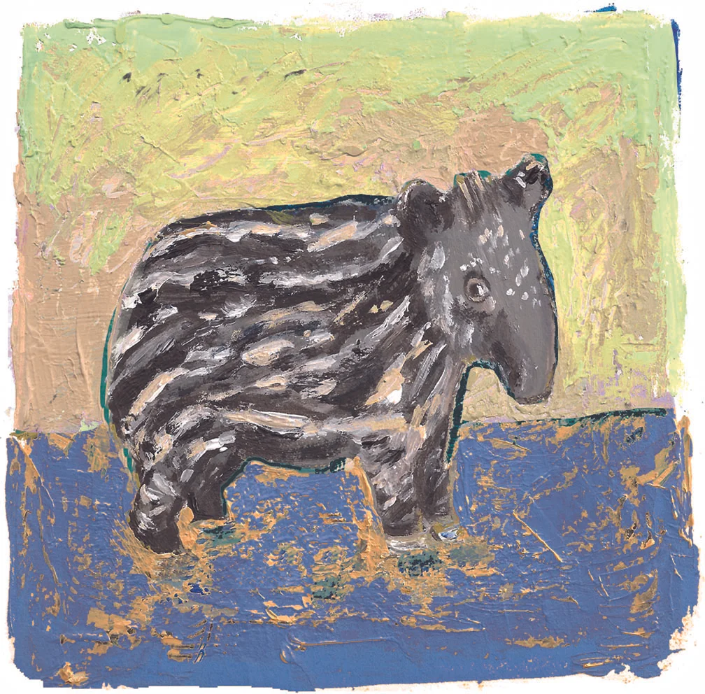 Edward Tapir