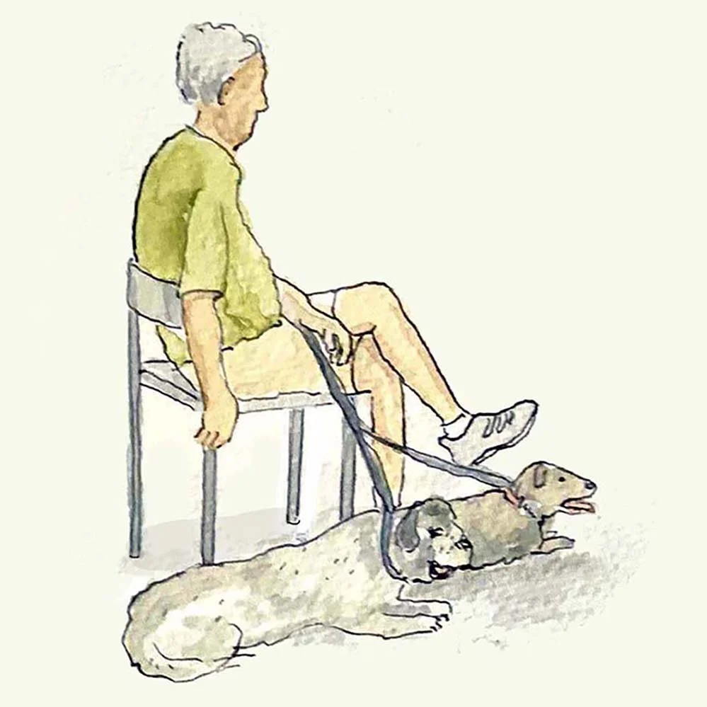 Old Dogs