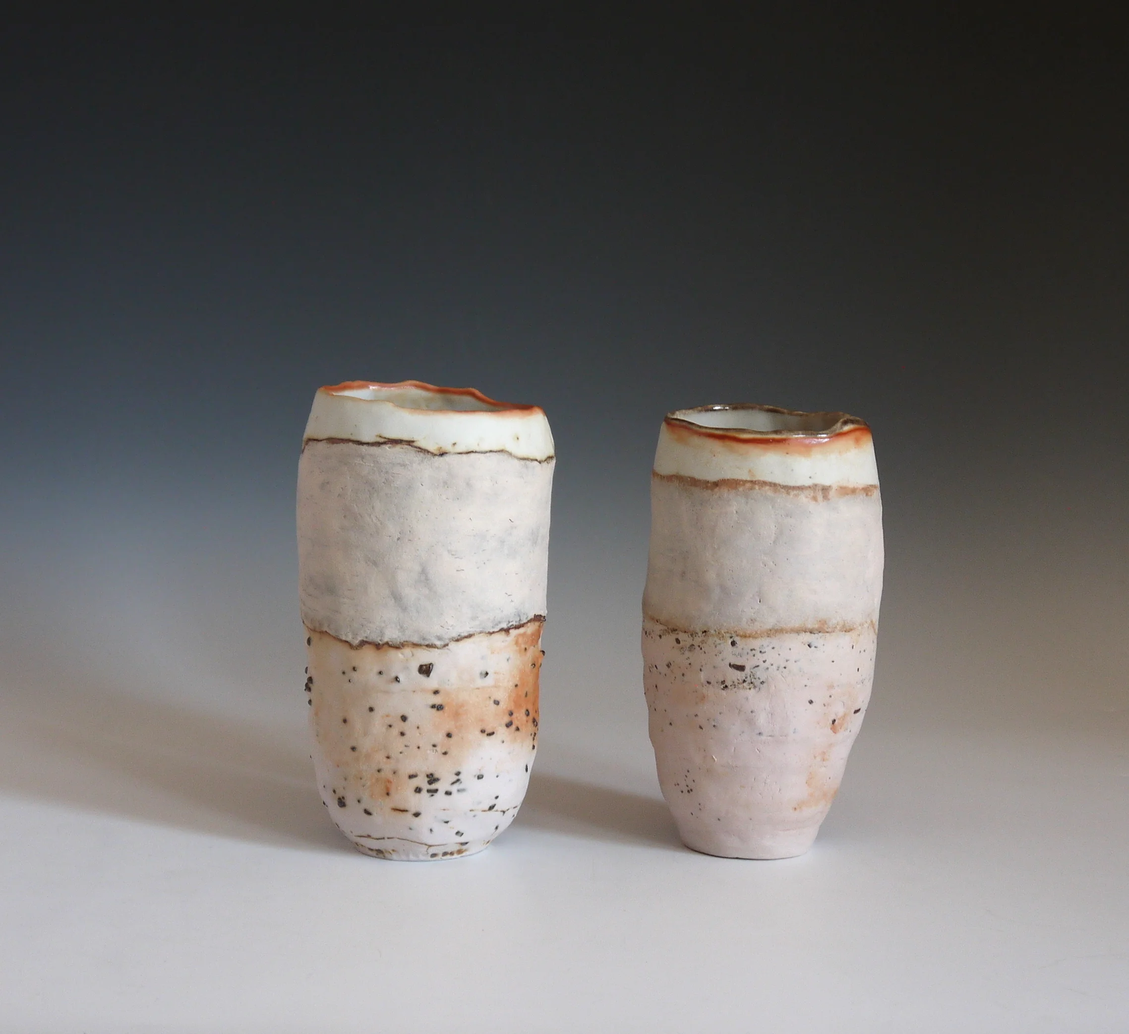 2017-04-28 09.13.51.jpg