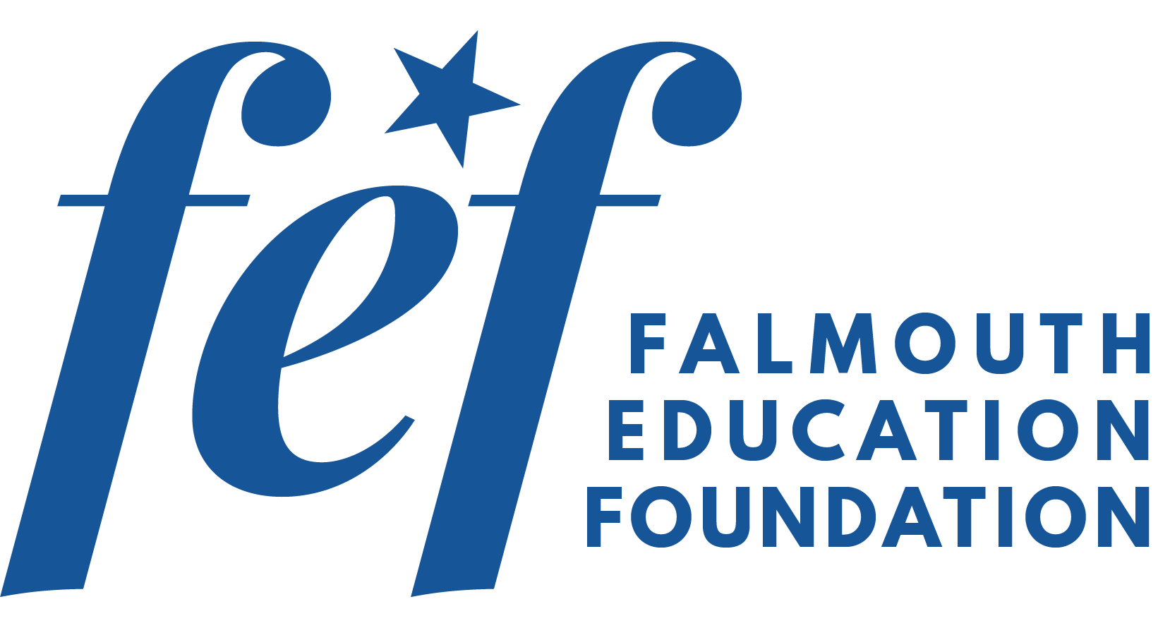 fef_logo.png