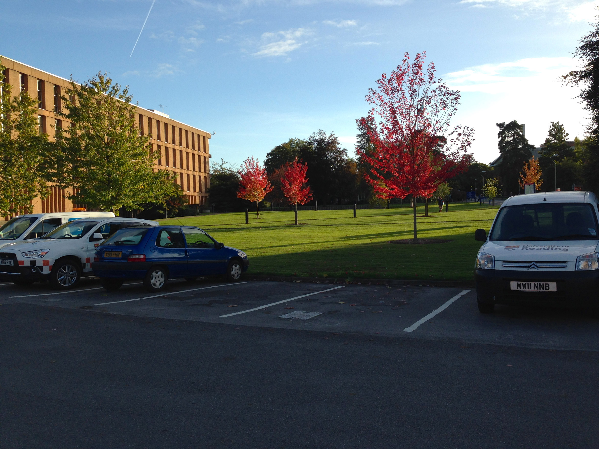 Another view on my walk to class