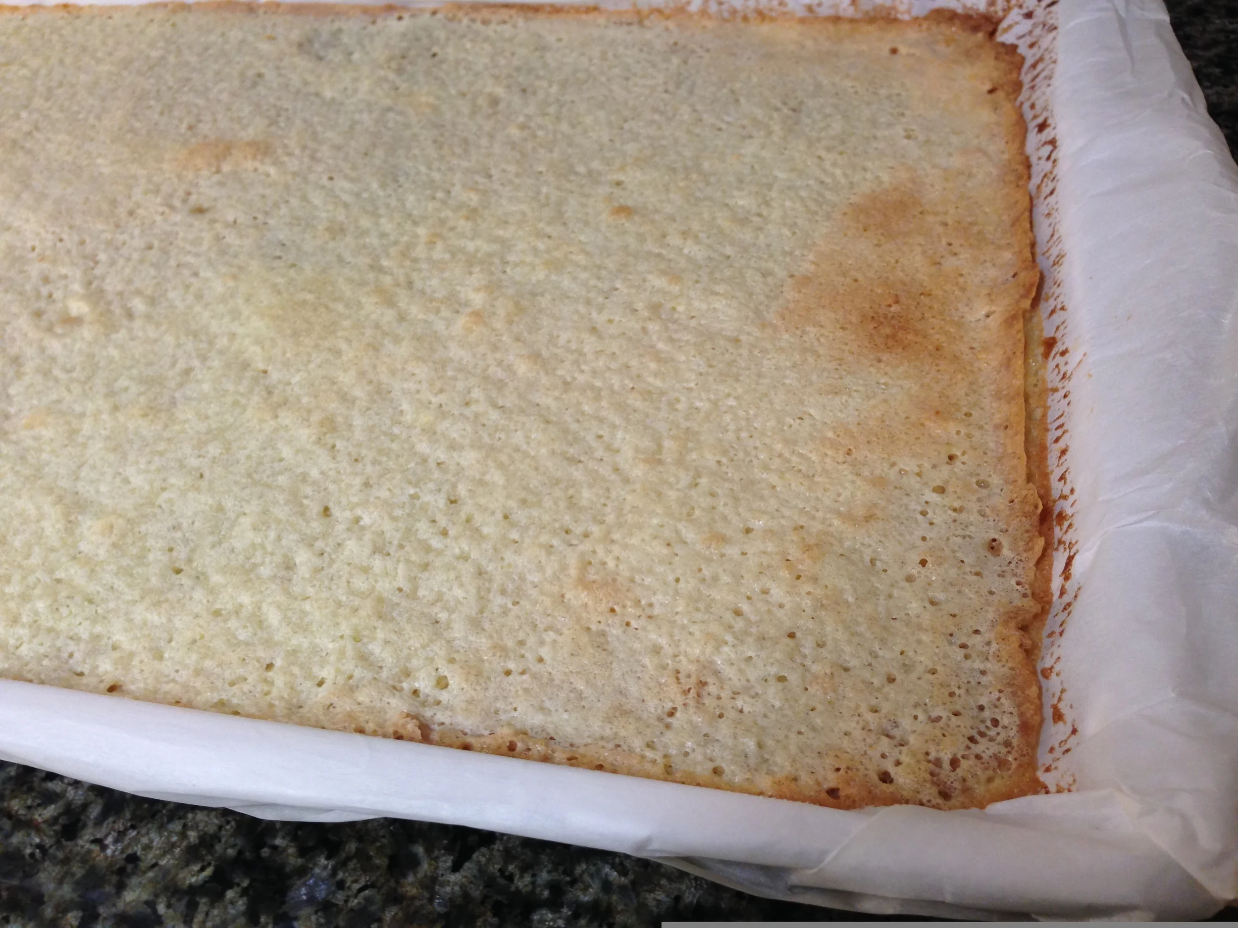 There is nothing about this pan that looked like "lemon bars."