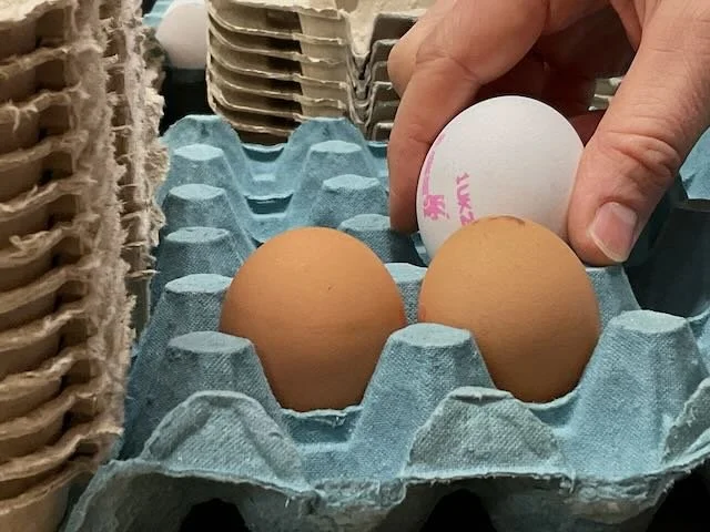  This? A CLOSE-UP of him selecting an egg. It’s easy to shoot, so we should. And then we’d… 