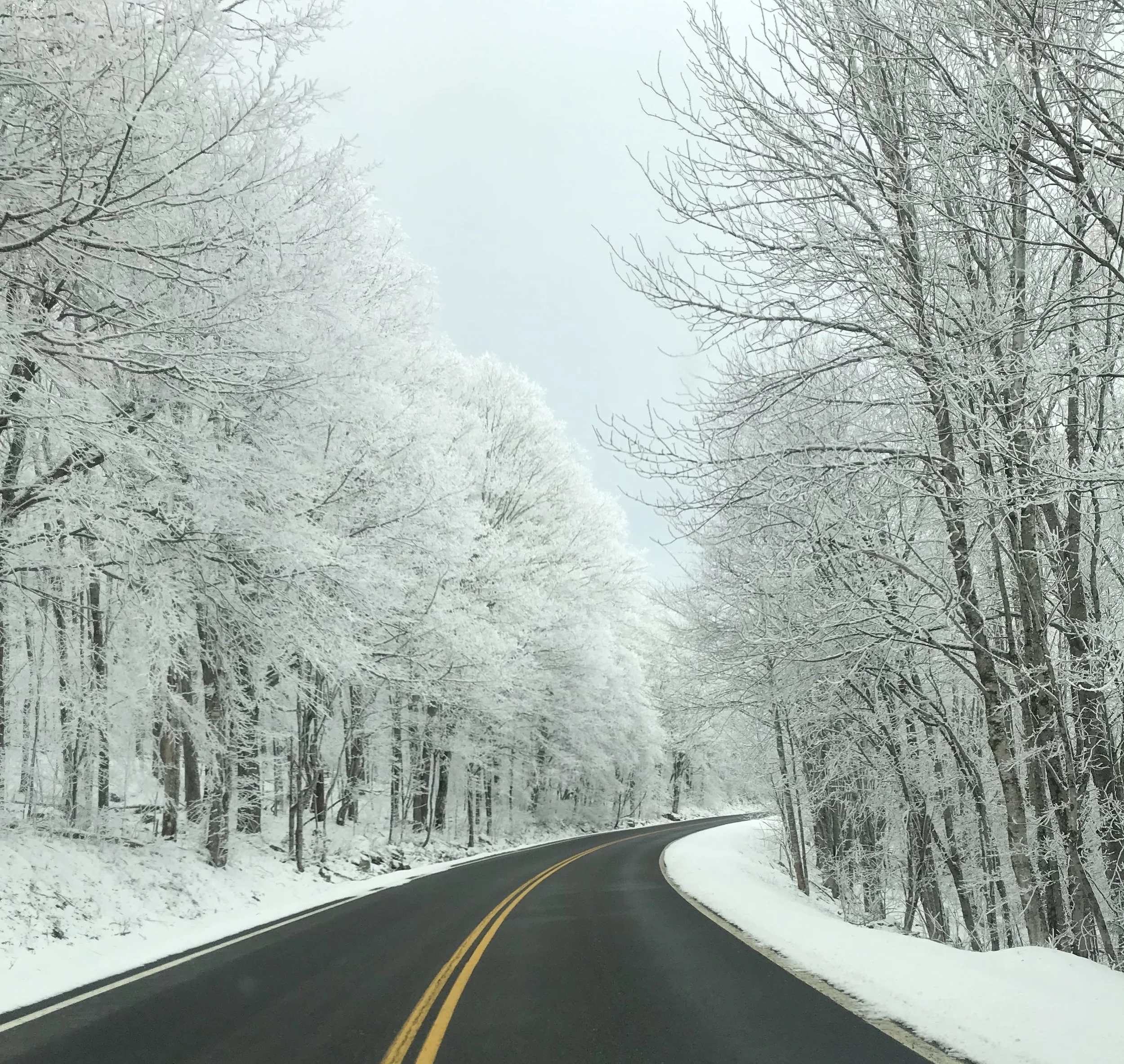 Wildlife Preparing for Winter Reptiles — Blue Ridge Discovery Center