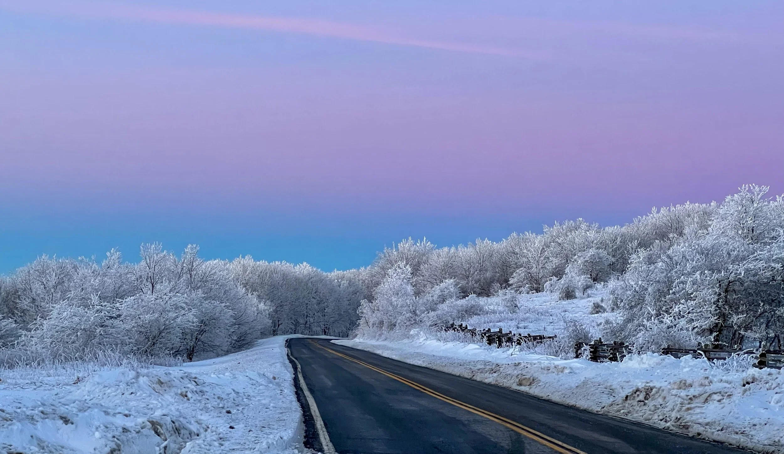 Mount Rogers Winter Naturalist Rally — Blue Ridge Discovery Center