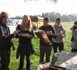 Hawk Watching with Galax High School