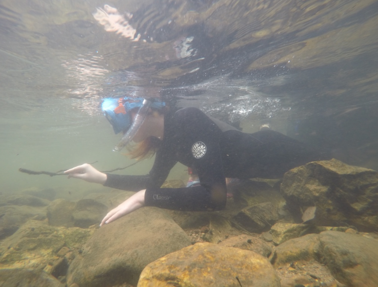 Holly working her way upstream