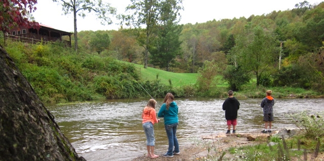 Galax Enrichment Week - Aquatic Adventures