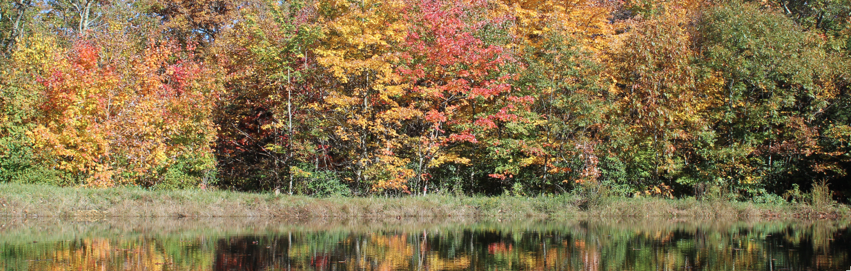Fall at Bluff Mountain