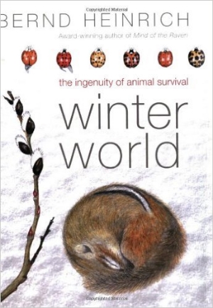Bernd Heinrich's Winter World