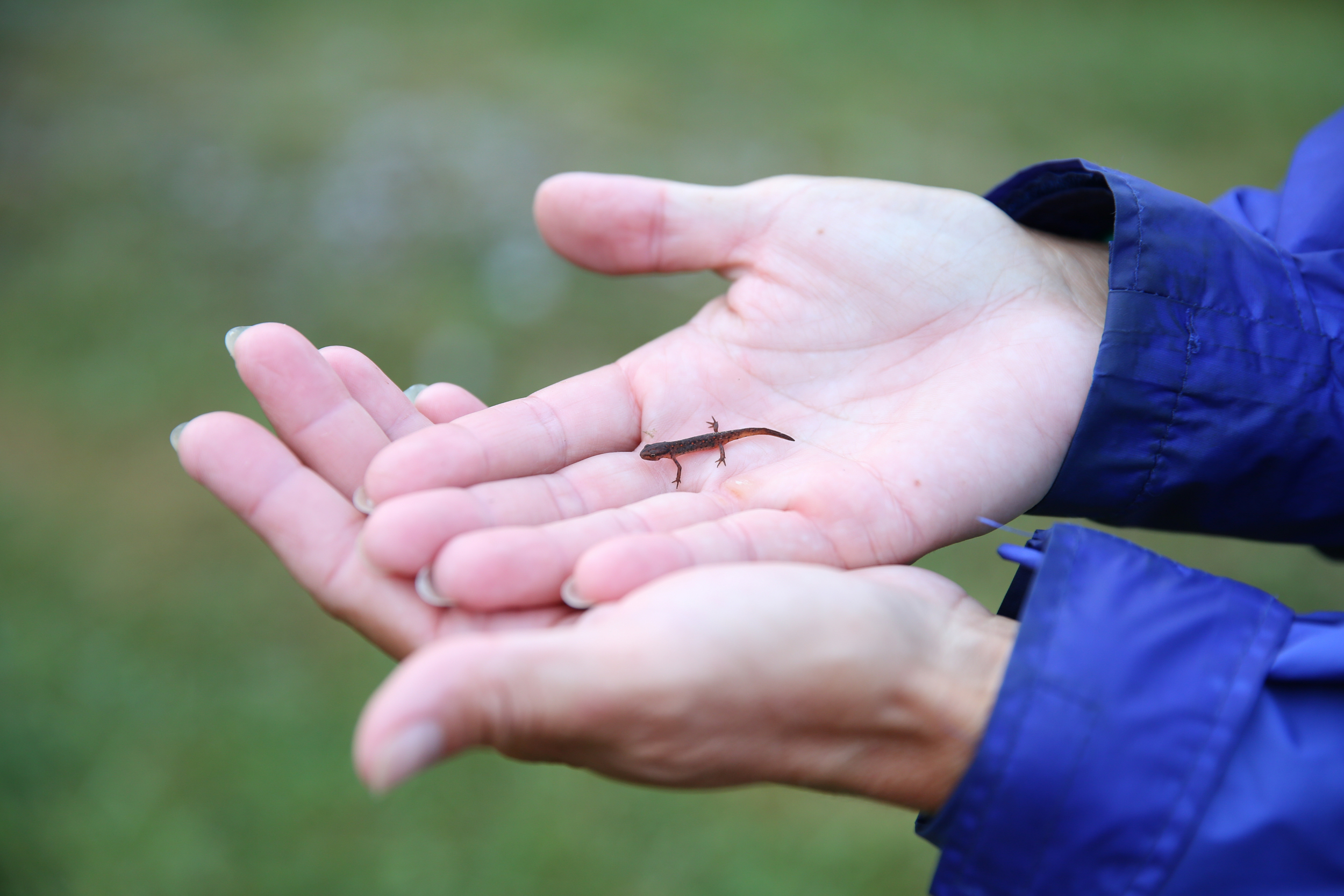 Fly Fishing Camp II-52.jpg