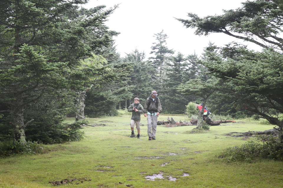 Mount Rogers Wilderness Camp-205.jpg