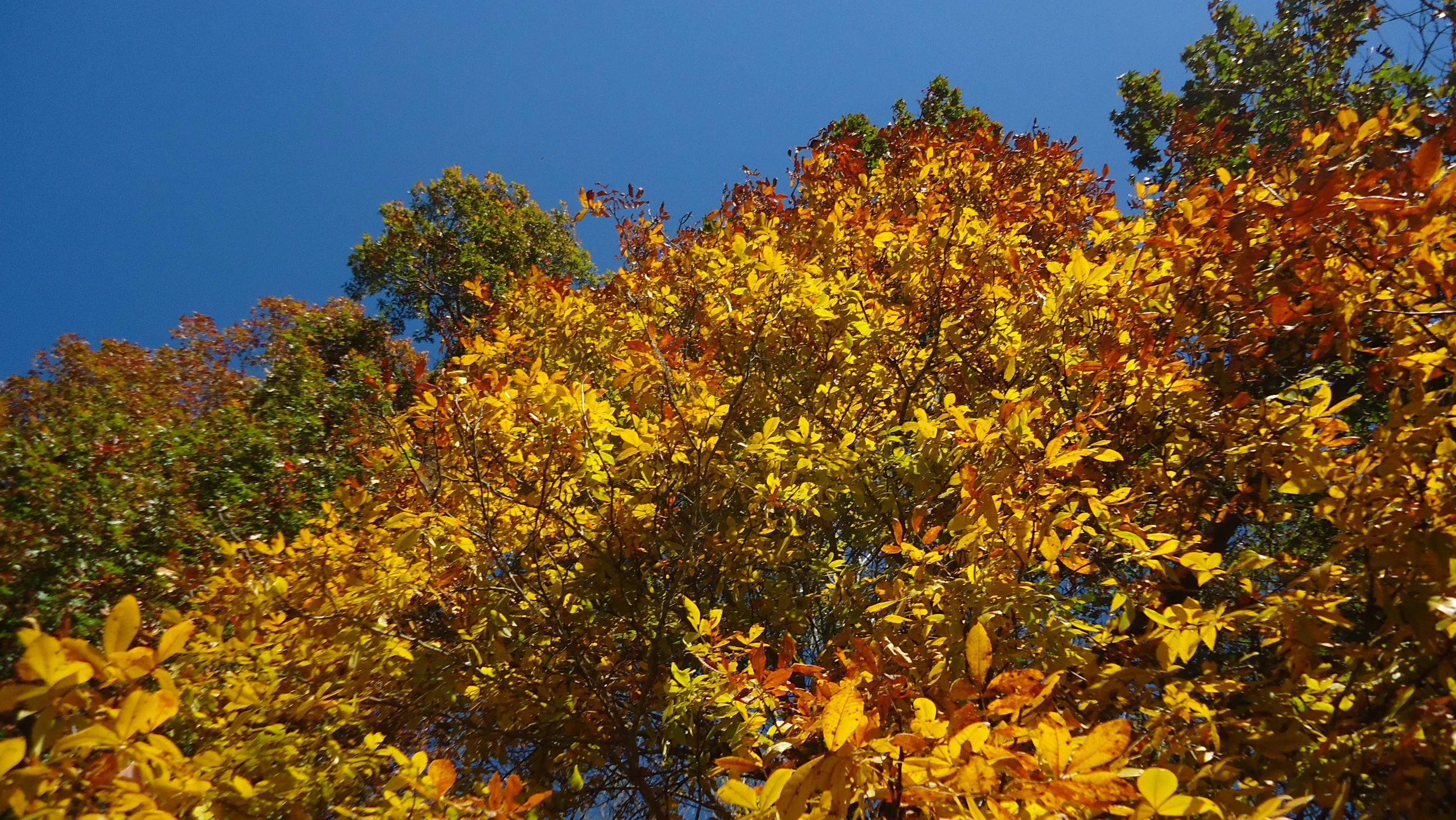 DSC05715.JPG