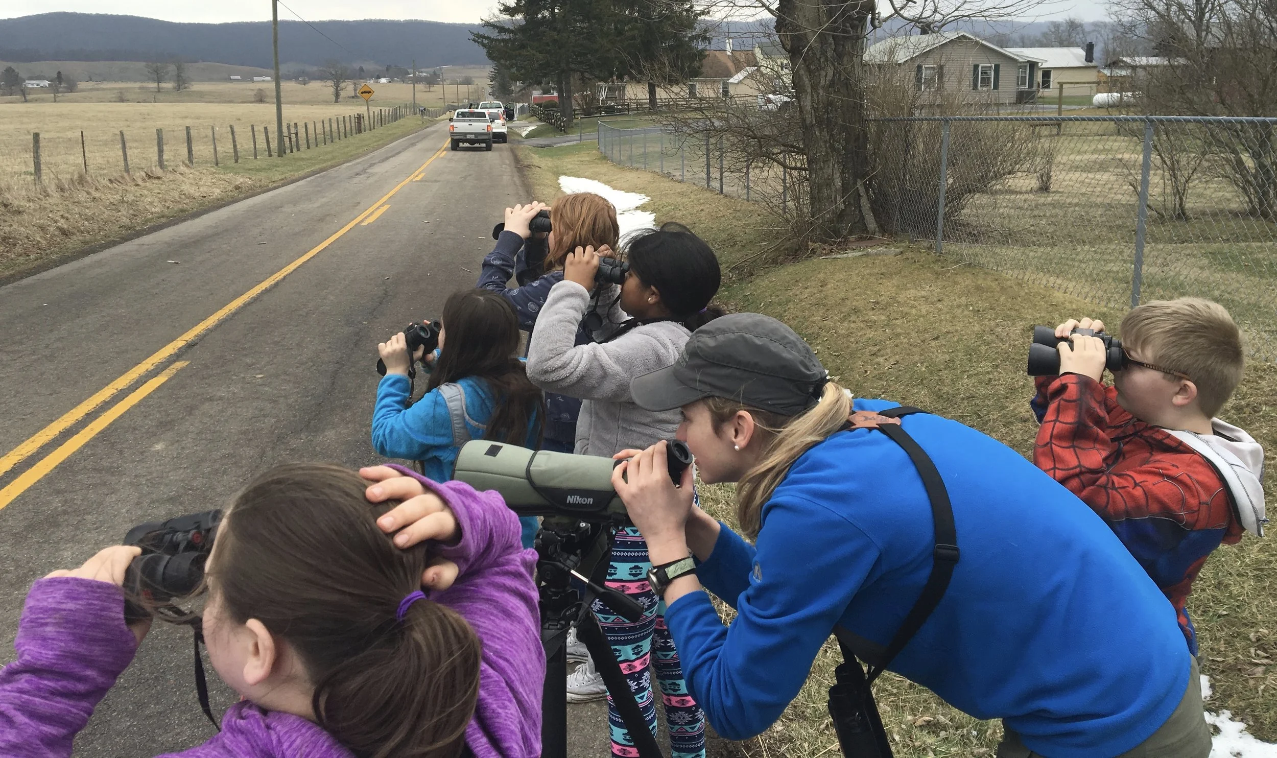 Observing a Bald Eagle on the nest