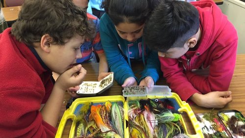 Learning about Amphibians & Aquatic Insects