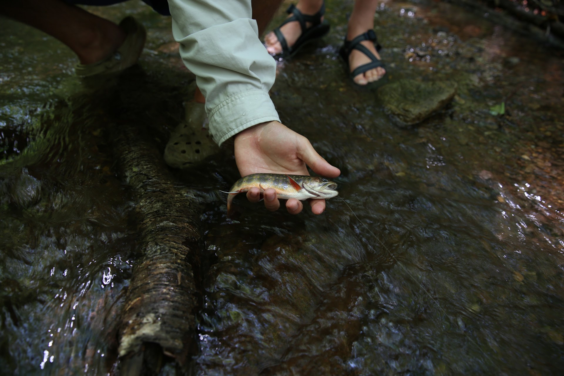 2017 Fly Fishing Camp-15.jpg