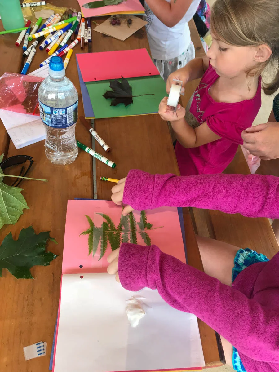 Discovery Day Camp Galax-2.jpg