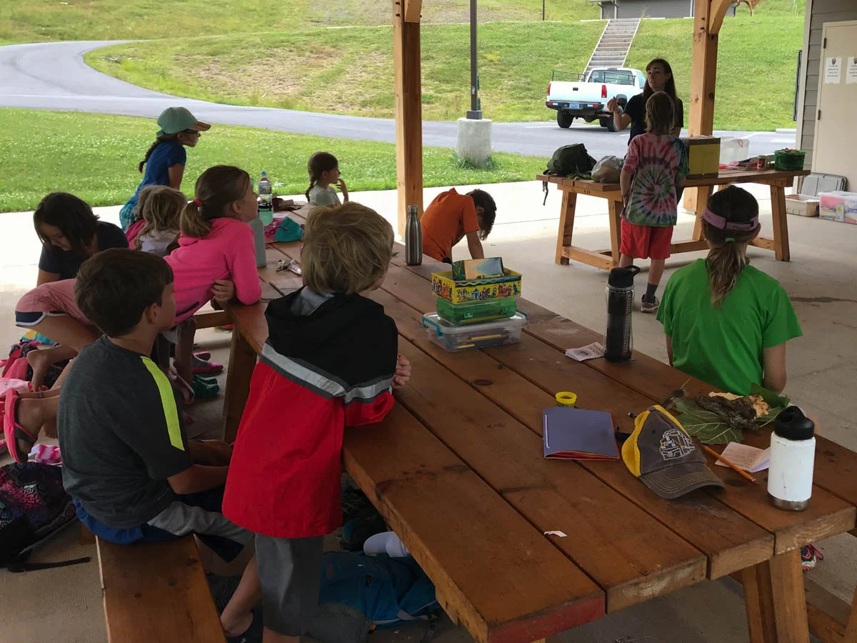 Discovery Day Camp Galax-4.jpg