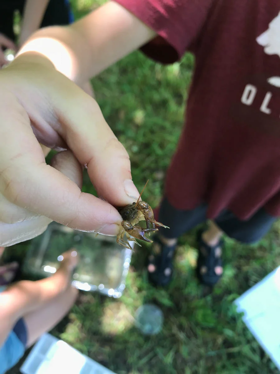 Discovery Day Camp Galax-25.jpg