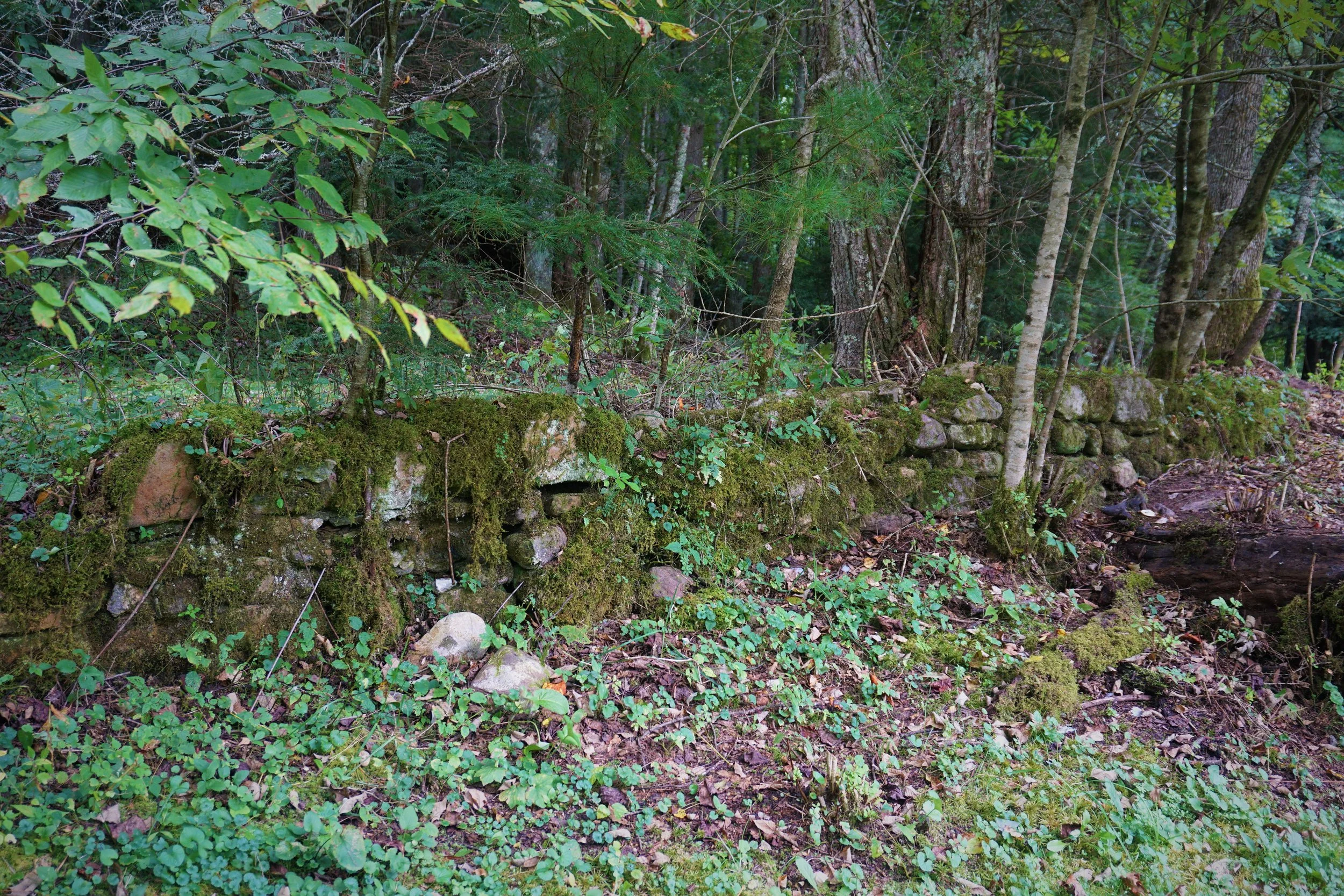 The stone wall unveiled