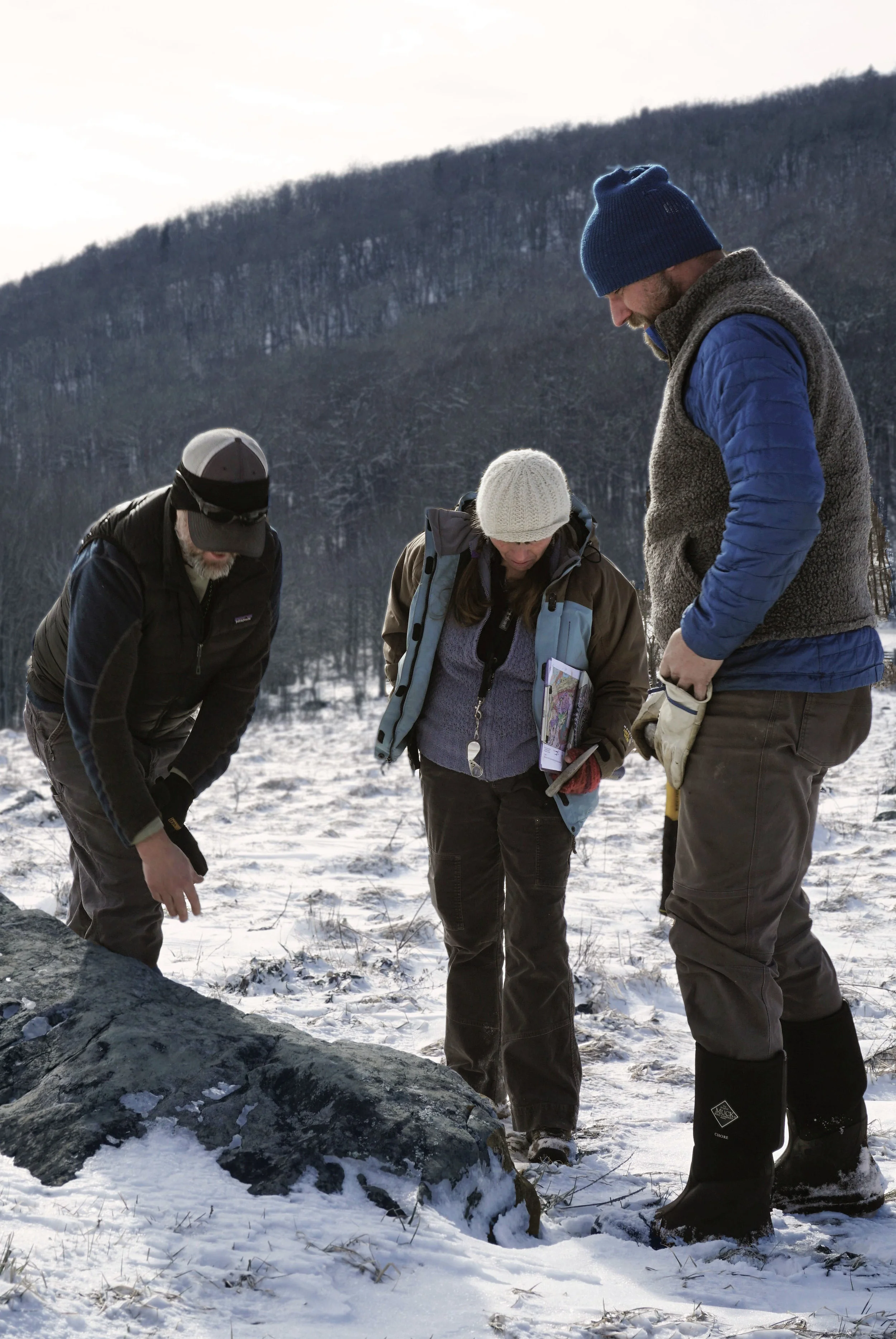 Jay, Elaine, and Aaron observing greenstone at Elk Garden.