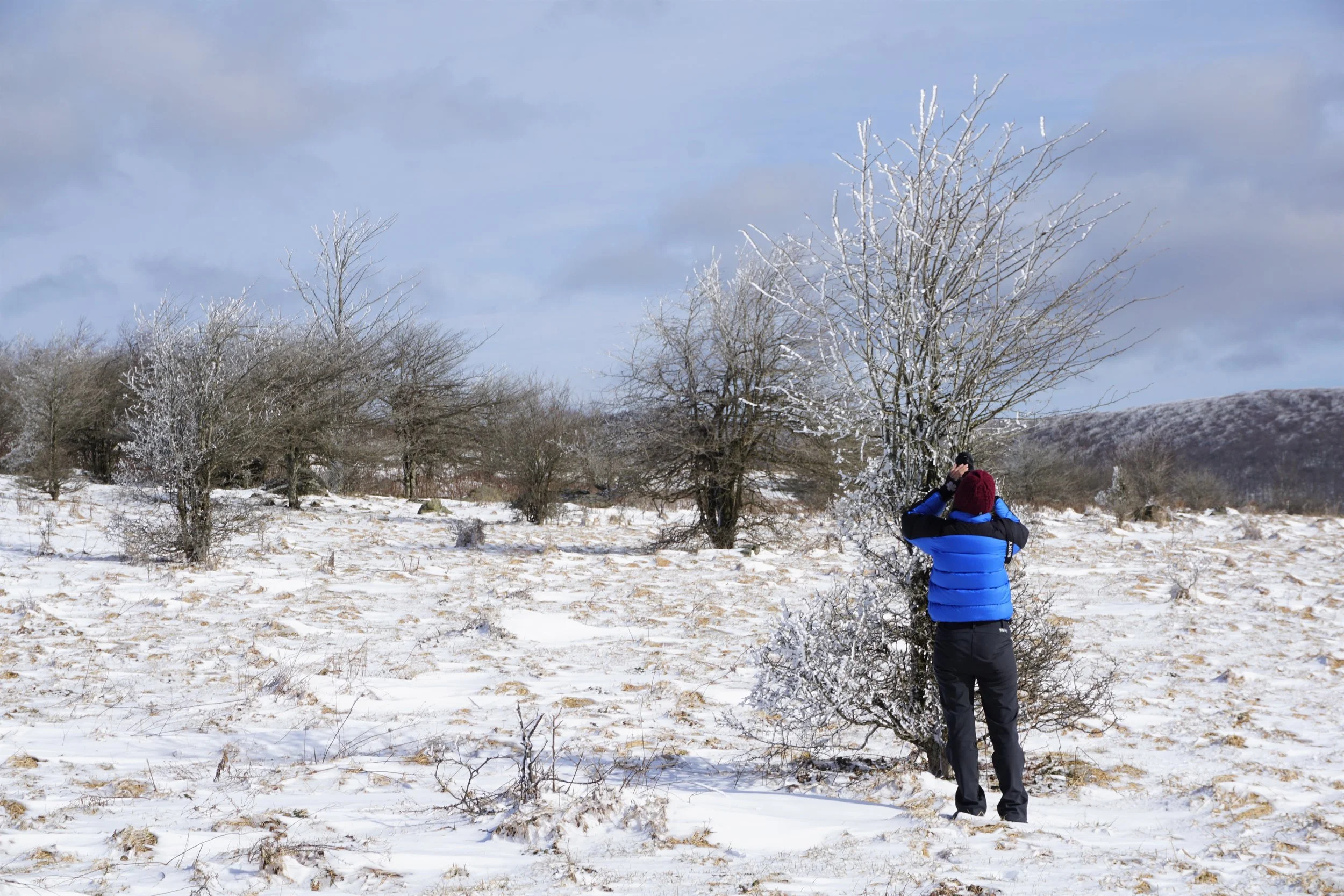 Lisa taking advantage of a winter photo opportunity!