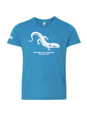 Pgymy salamander preview youth.png