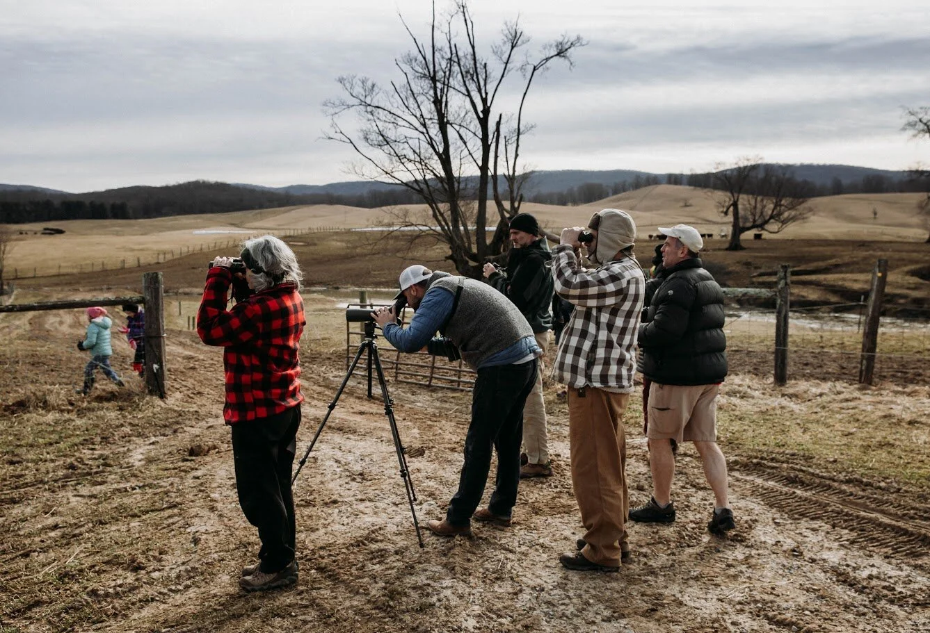 Burke's Garden Birding Trip