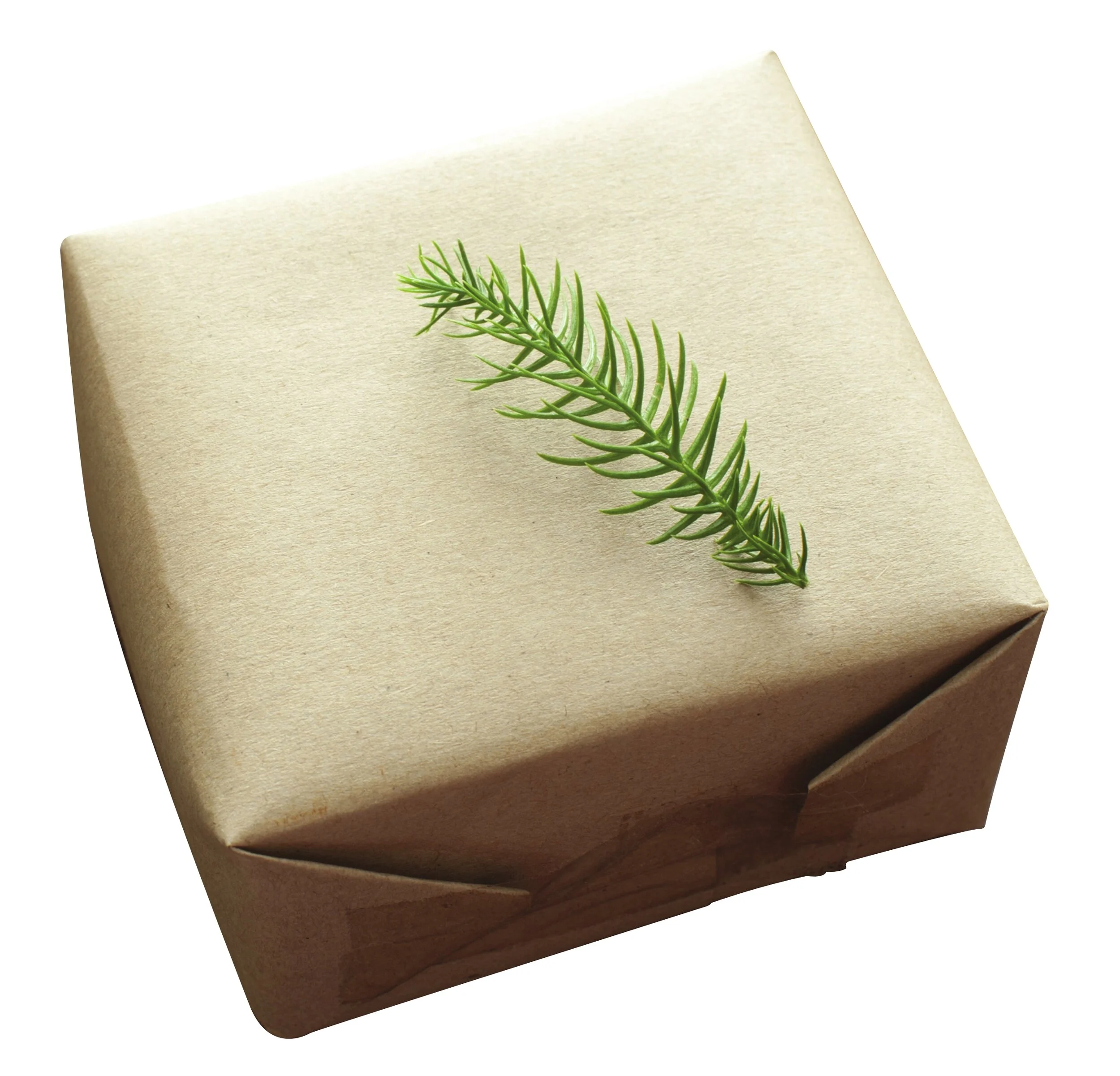 gift box_001.jpg