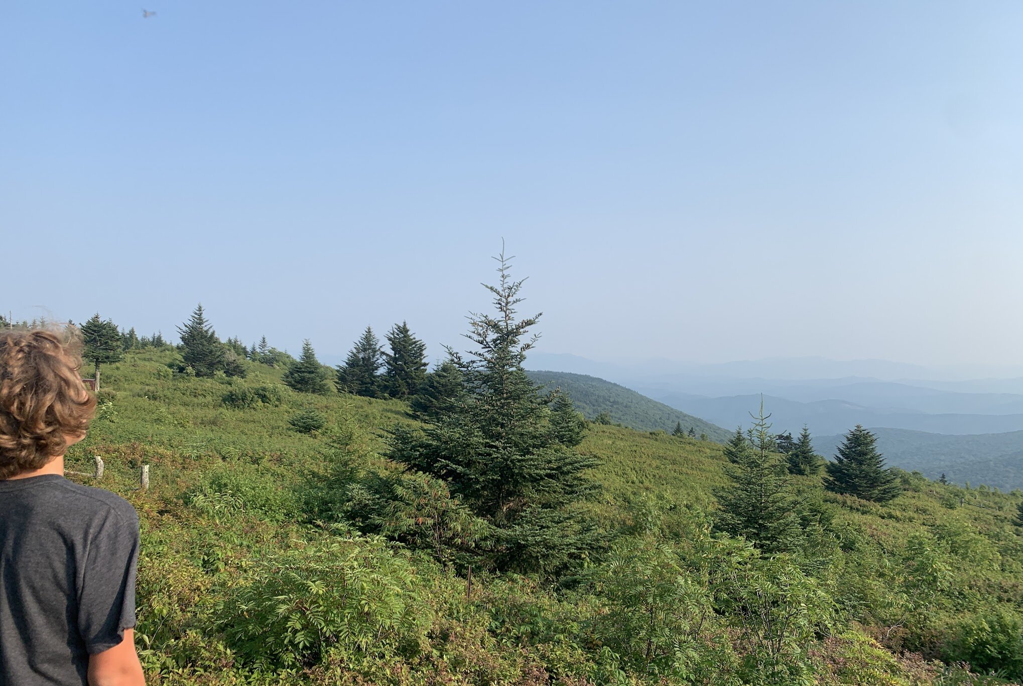 Admiring the Blue Ridge