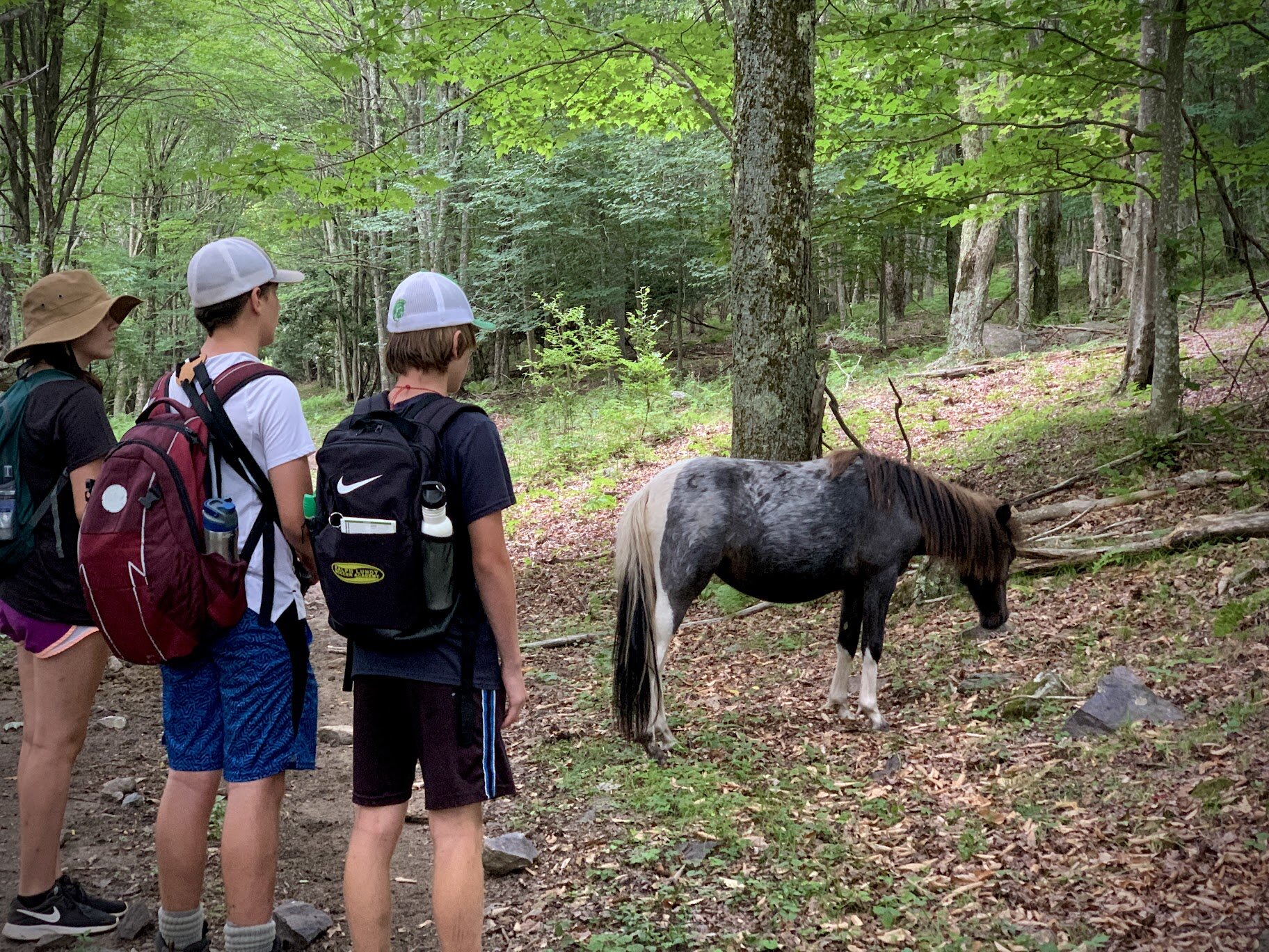 Meeting the locals