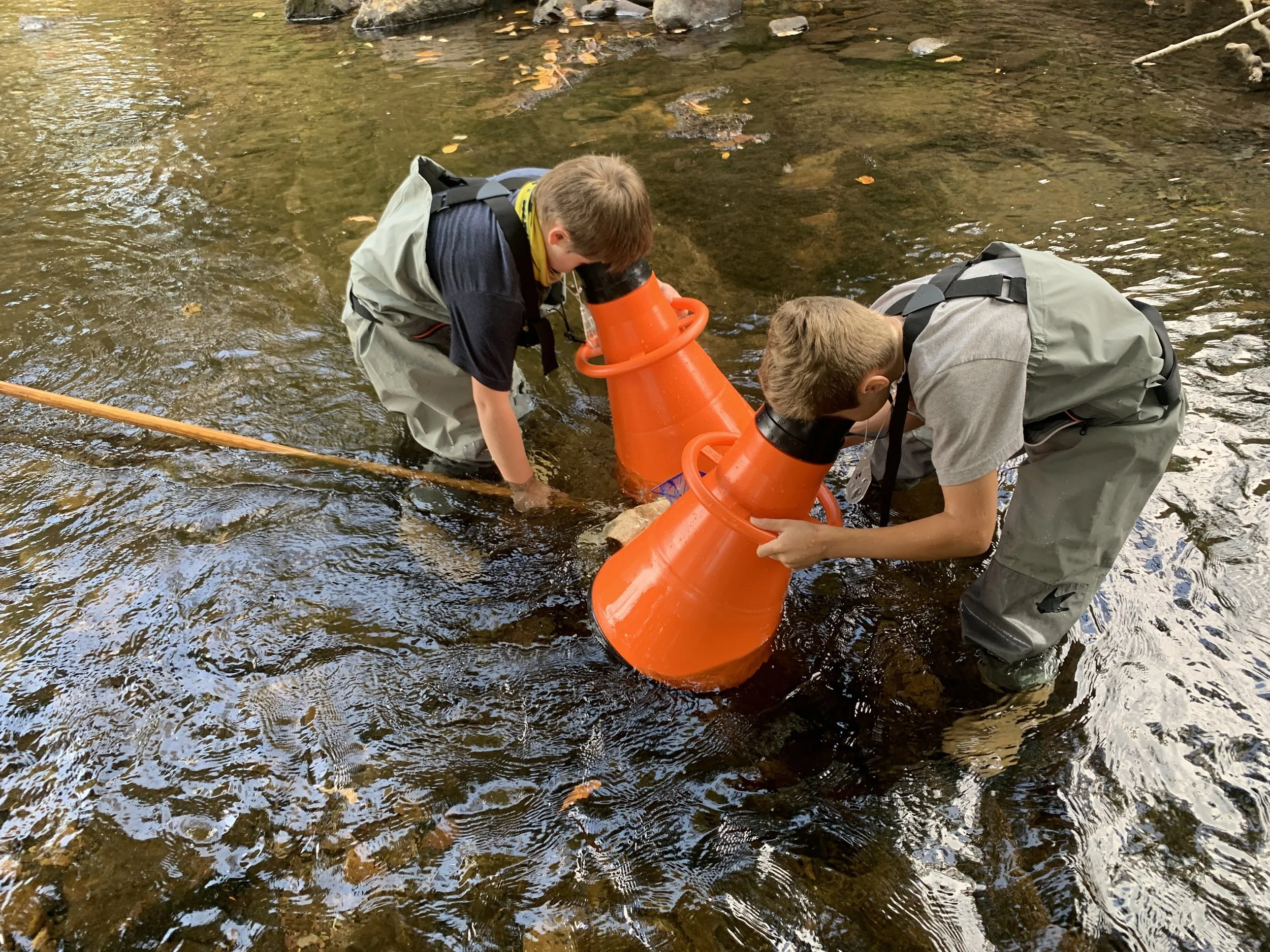 IMG_4290.jpg