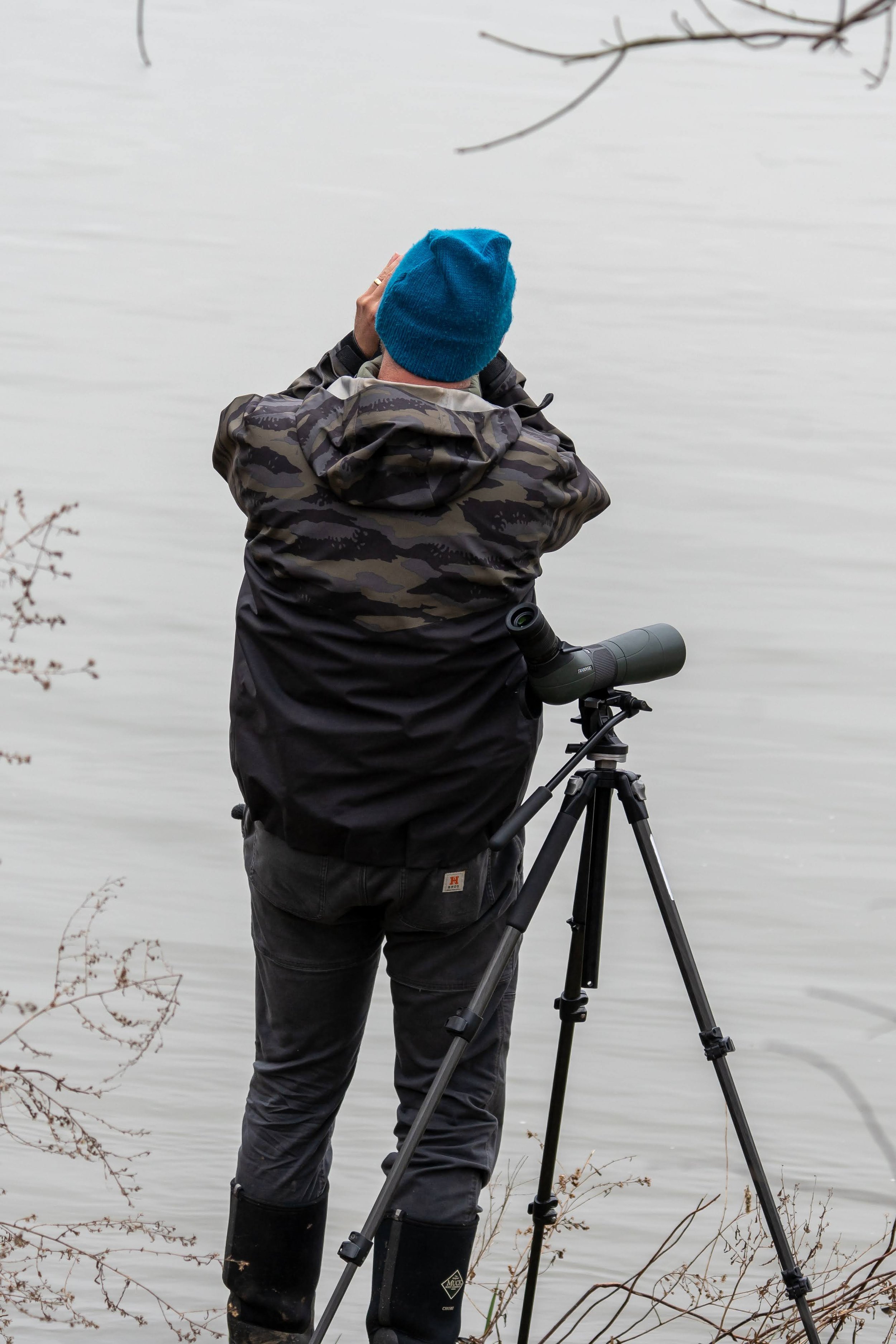 Duck birding 2-15-13.jpg