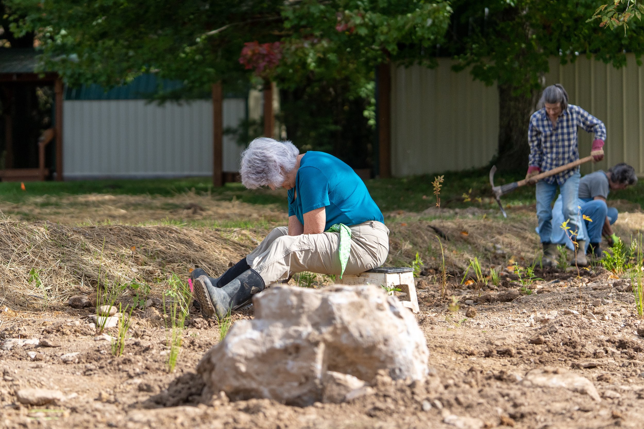 Wetland planting-4.jpg