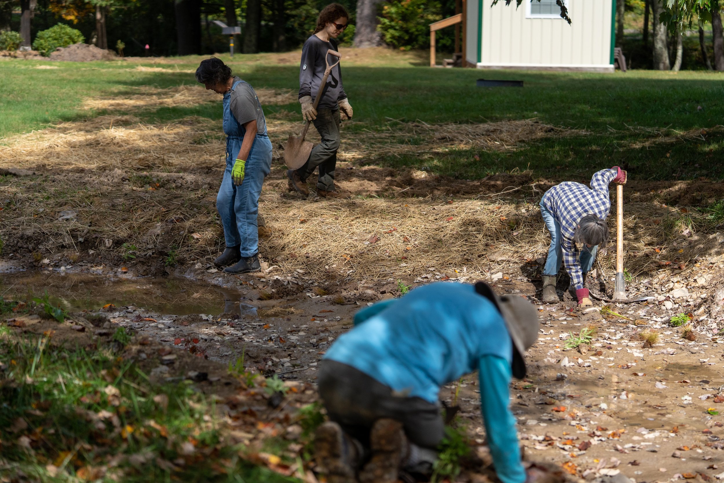 Wetland planting-9.jpg