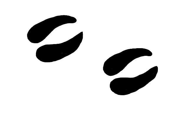 Deer Tracks.PNG