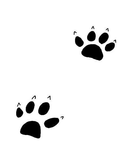 Bobcat.png